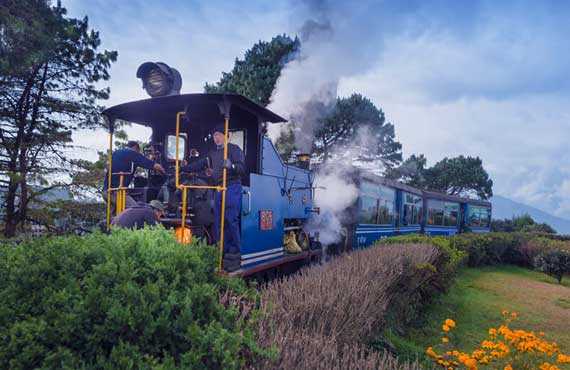 darjeeling tour