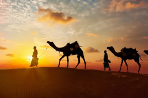 Royal Rajasthan