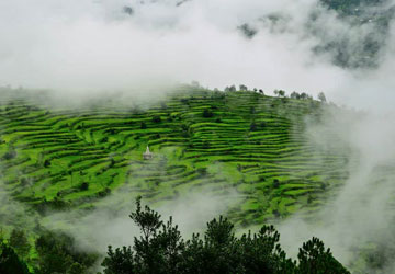 Nainital Corbett